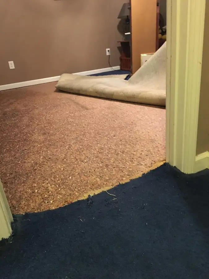 Carpet pad removal revealing water damage during Drying & Dehumidification in St. Clair