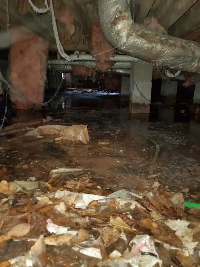 Crawl space flood assessment for Leak Detection & Repair in St. Clair