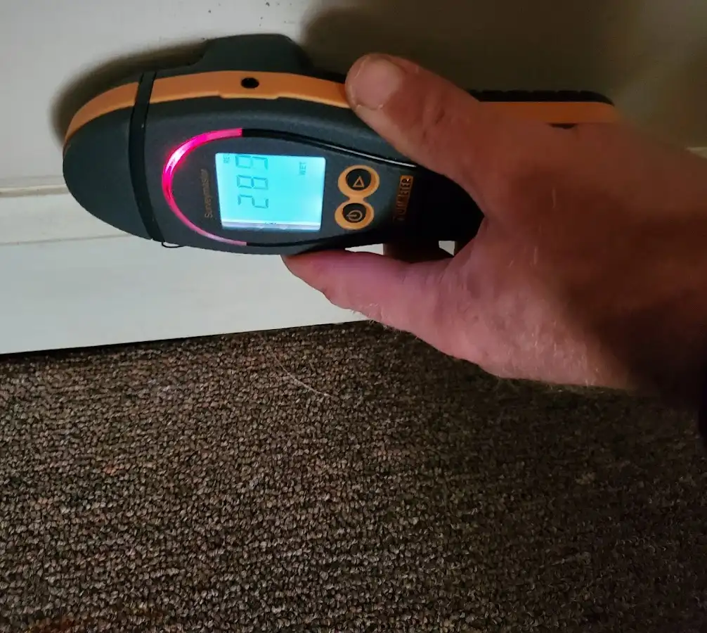 Moisture detection at baseboard during Sewage Cleanup & Sanitation in St. Clair